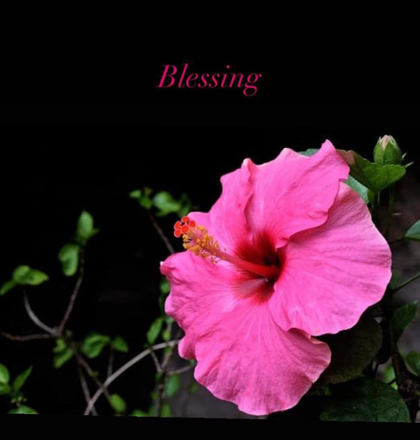 Blessing House Apartman Nápoly Kültér fotó